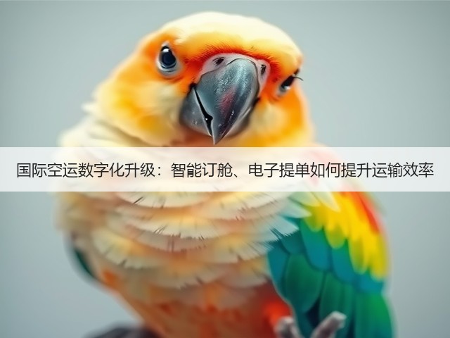 国际空运数字化升级:智能订舱、电子提单如何提升运输效率(图3) 国际空运数字化升级:智能订舱、电子提单如何提升运输效率(图3)