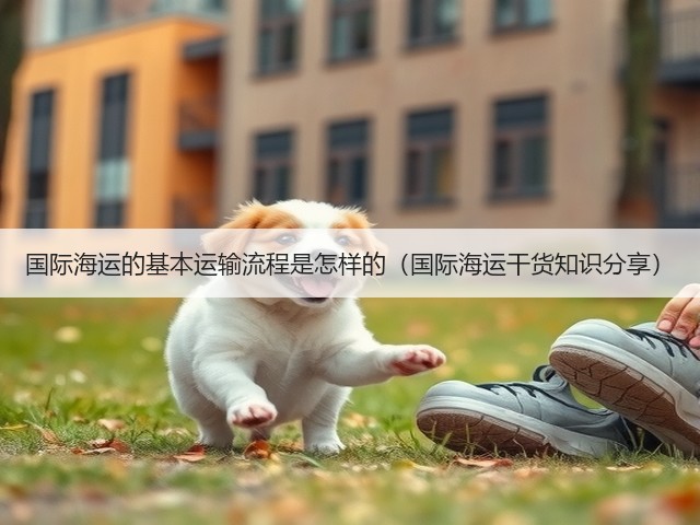 国际海运的基本运输流程是怎样的（国际海运干货知识分享）(图3)