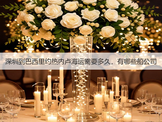 深圳到巴西里约热内卢海运需要多久,有哪些船公司(图3) 深圳到巴西里约热内卢海运需要多久,有哪些船公司(图3)