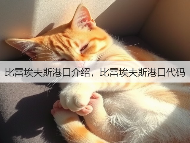 比雷埃夫斯港口介绍,比雷埃夫斯港口代码(图2) 比雷埃夫斯港口介绍,比雷埃夫斯港口代码(图2)