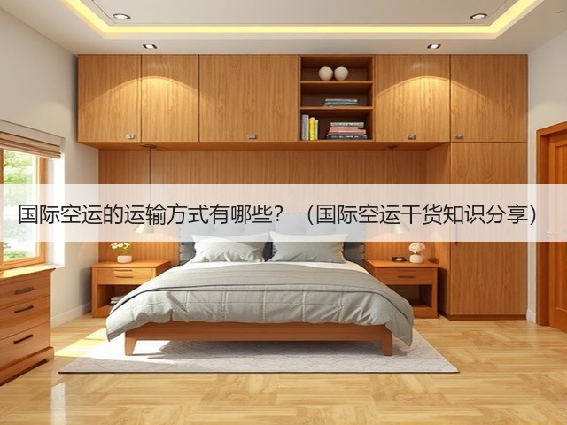 国际空运的运输方式有哪些？（国际空运干货知识分享）(图3)