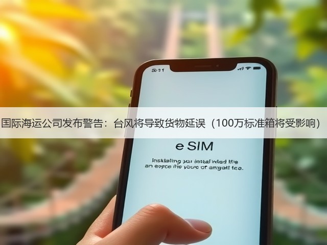 国际海运公司发布警告：台风将导致货物延误（100万标准箱将受影响）(图1)