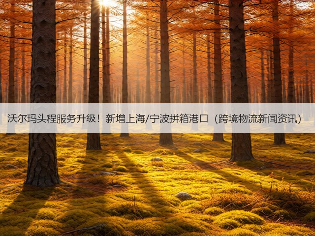 沃尔玛头程服务升级!新增上海/宁波拼箱港口(跨境物流新闻资讯)(图1) 沃尔玛头程服务升级!新增上海/宁波拼箱港口(跨境物流新闻资讯)(图1)