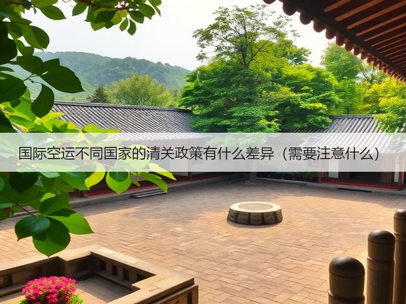 国际空运不同国家的清关政策有什么差异（需要注意什么）