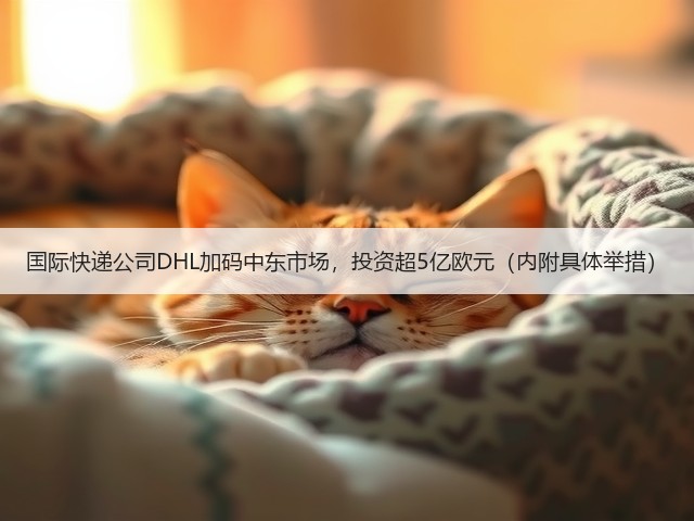 国际快递公司DHL加码中东市场,投资超5亿欧元(内附具体举措)(图3) 国际快递公司DHL加码中东市场,投资超5亿欧元(内附具体举措)(图3)