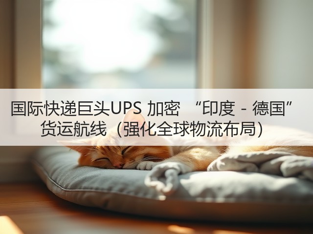 国际快递巨头UPS 加密 “印度 - 德国” 货运航线（强化全球物流布局）(图3)