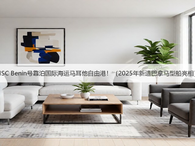 MSC Benin号靠泊国际海运马耳他自由港！（2025年新造巴拿马型船亮相）(图2)