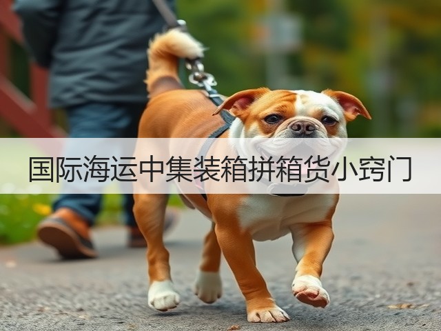 国际海运中集装箱拼箱货小窍门(图3) 国际海运中集装箱拼箱货小窍门(图3)
