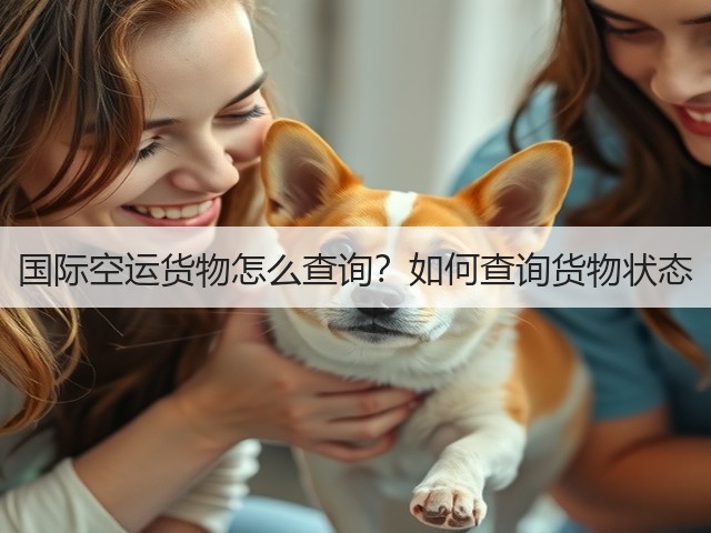 国际空运货物怎么查询？如何查询货物状态(图3)