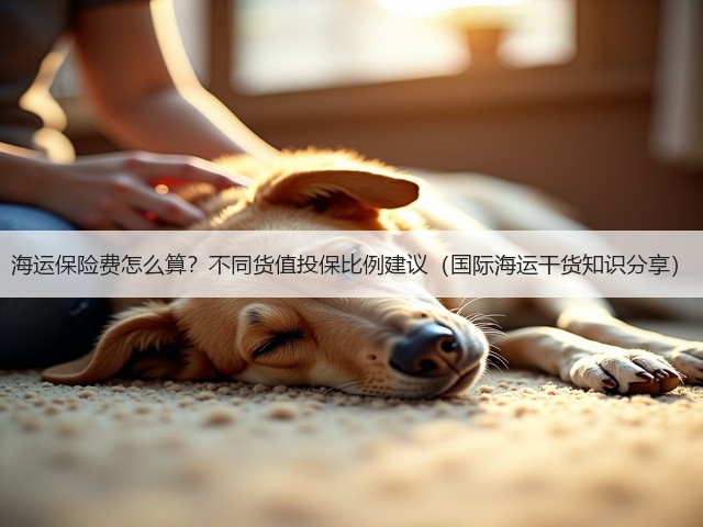 海运保险费怎么算？不同货值投保比例建议（国际海运干货知识分享）(图3)