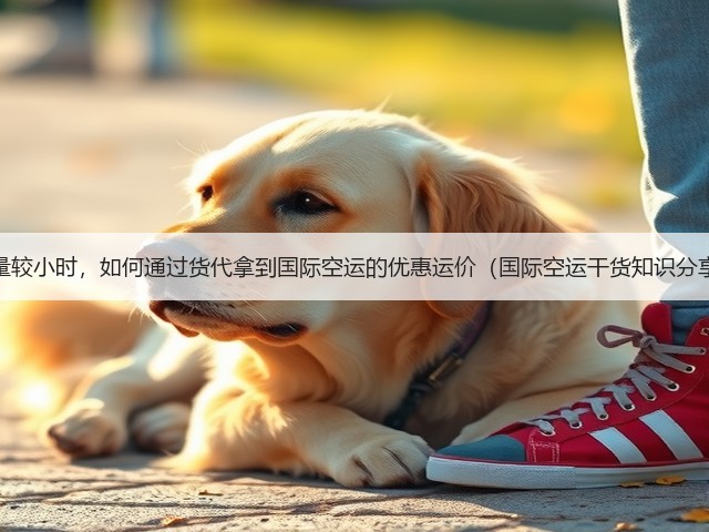 货量较小时,如何通过货代拿到国际空运的优惠运价(国际空运干货知识分享)(图3) 货量较小时,如何通过货代拿到国际空运的优惠运价(国际空运干货知识分享)(图3)