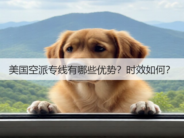 美国空派专线有哪些优势?时效如何?(图1) 美国空派专线有哪些优势?时效如何?(图1)