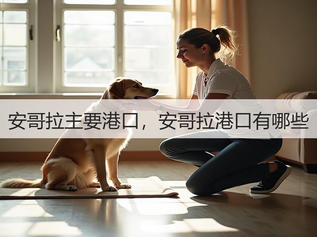 安哥拉主要港口,安哥拉港口有哪些(图2) 安哥拉主要港口,安哥拉港口有哪些(图2)