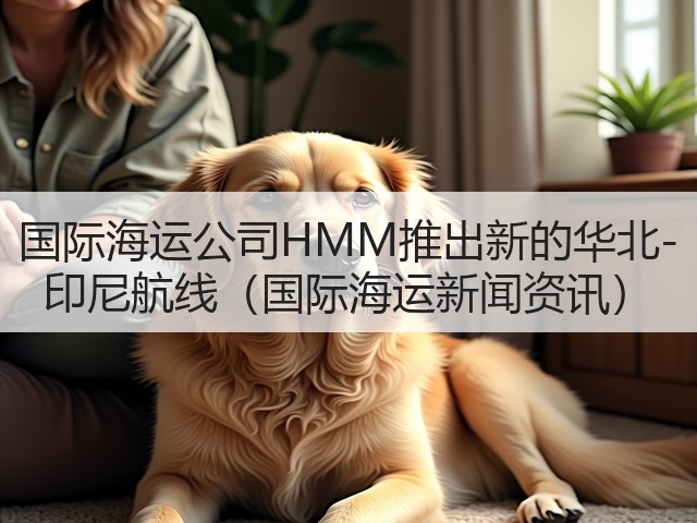 国际海运公司HMM推出新的华北-印尼航线（国际海运新闻资讯）(图1)