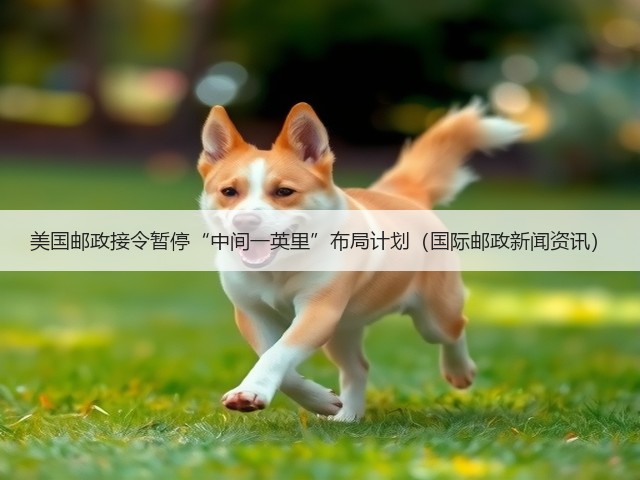 美国邮政接令暂停“中间一英里”布局计划（国际邮政新闻资讯）(图1)