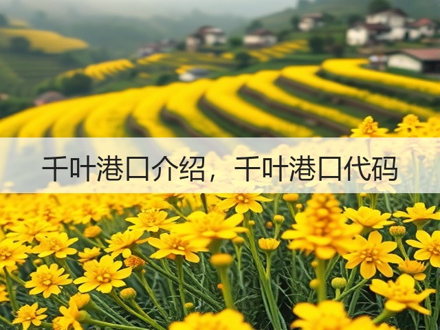千叶港口介绍，千叶港口代码(图1)