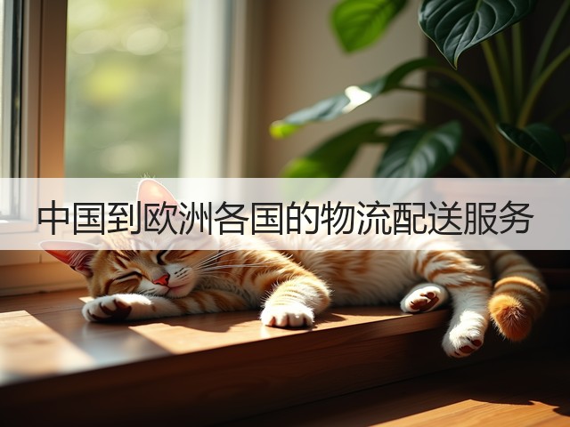 中国到欧洲各国的物流配送服务(图3)