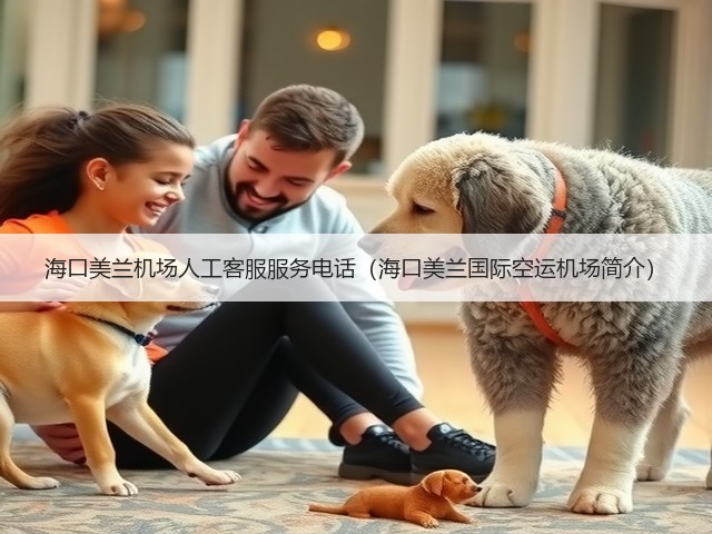 海口美兰机场人工客服服务电话（海口美兰国际空运机场简介）(图1)