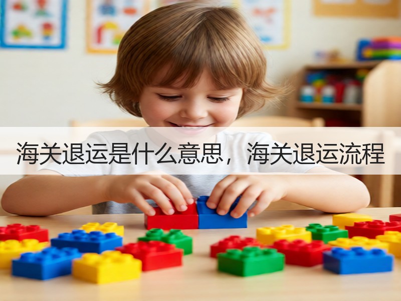 海关退运是什么意思，海关退运流程