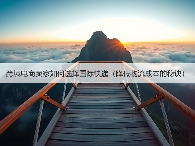 跨境电商卖家如何选择国际快递(降低物流成本的秘诀)(图3) 跨境电商卖家如何选择国际快递(降低物流成本的秘诀)(图3)