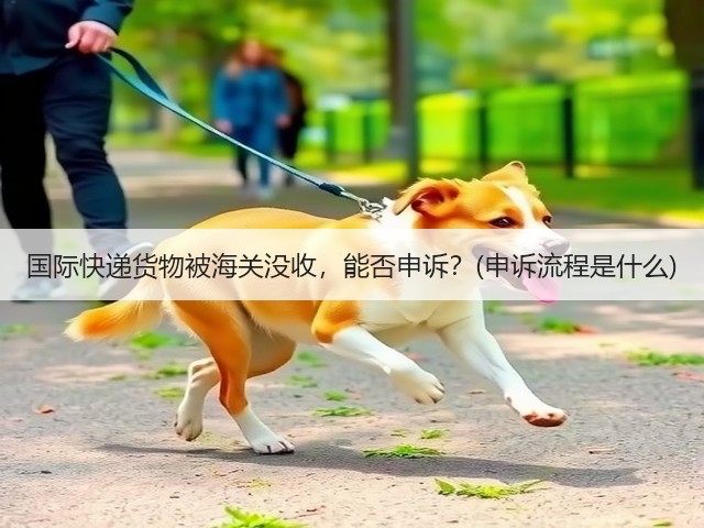 国际快递货物被海关没收,能否申诉?(申诉流程是什么)(图3) 国际快递货物被海关没收,能否申诉?(申诉流程是什么)(图3)