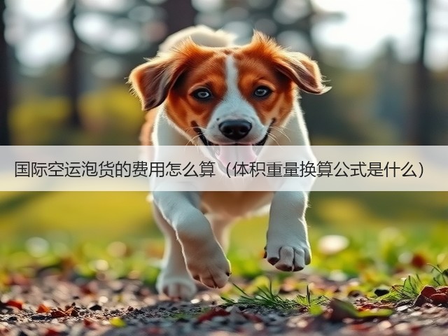 国际空运泡货的费用怎么算(体积重量换算公式是什么)(图1) 国际空运泡货的费用怎么算(体积重量换算公式是什么)(图1)