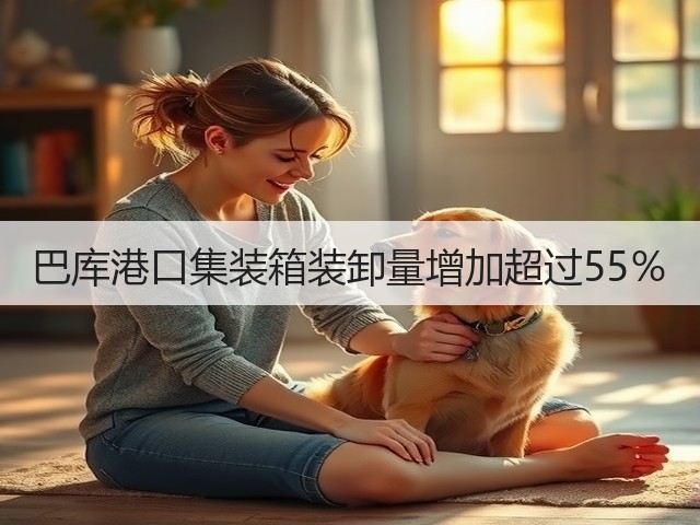 巴库港口集装箱装卸量增加超过55%(图2) 巴库港口集装箱装卸量增加超过55%(图2)