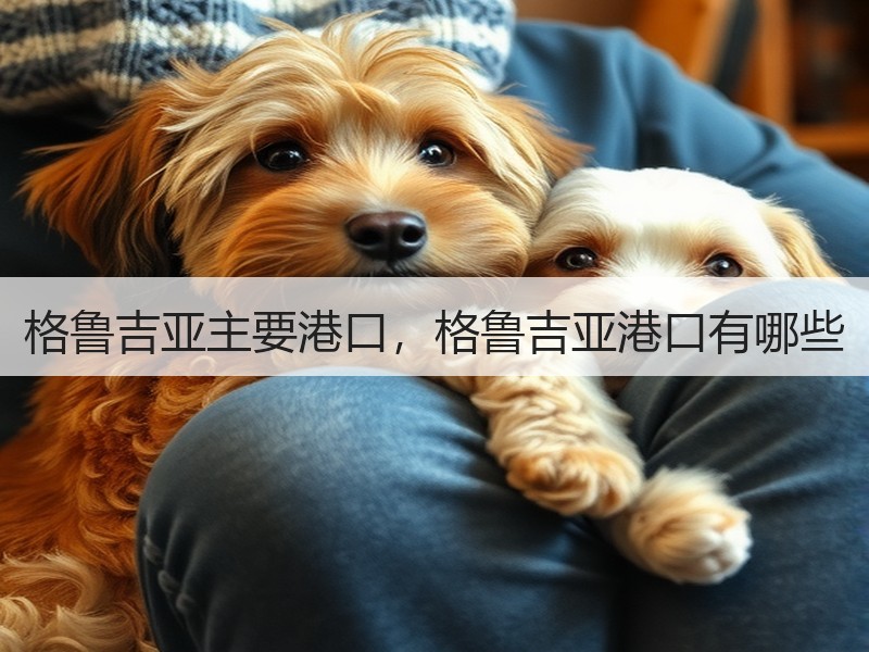 格鲁吉亚主要港口，格鲁吉亚港口有哪些