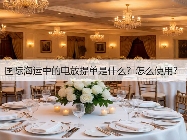 国际海运中的电放提单是什么？怎么使用？(图2)