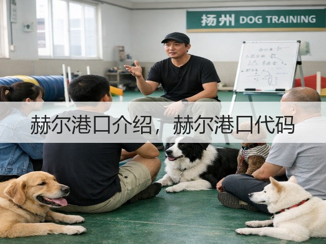 赫尔港口介绍，赫尔港口代码(图3)