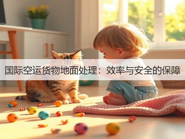 国际空运货物地面处理:效率与安全的保障(图3) 国际空运货物地面处理:效率与安全的保障(图3)