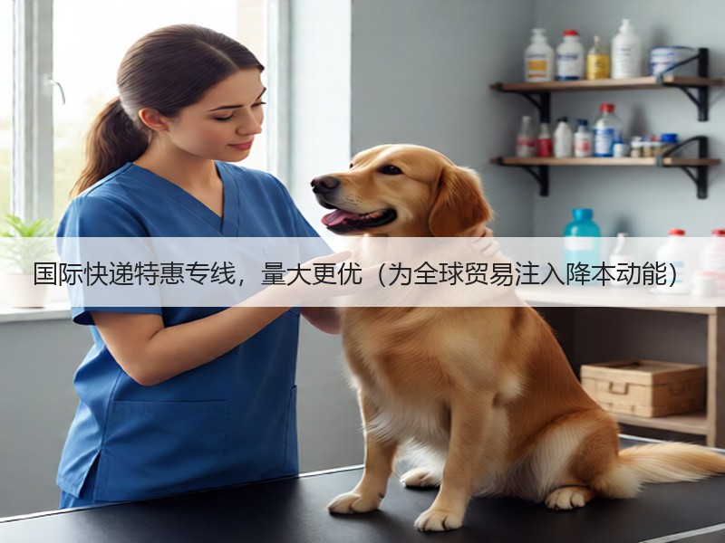 国际快递特惠专线，量大更优（为全球贸易注入降本动能）