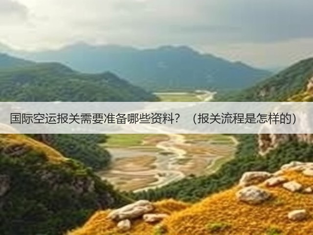 国际空运报关需要准备哪些资料？（报关流程是怎样的）(图3)