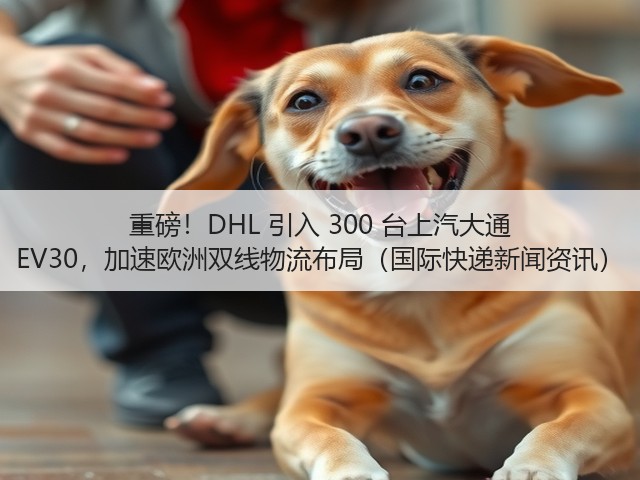重磅！DHL 引入 300 台上汽大通 EV30，加速欧洲双线物流布局（国际快递新闻资讯）(图1)
