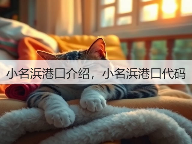 小名浜港口介绍，小名浜港口代码(图3)