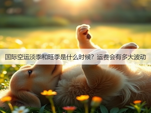 国际空运淡季和旺季是什么时候？运费会有多大波动(图2)