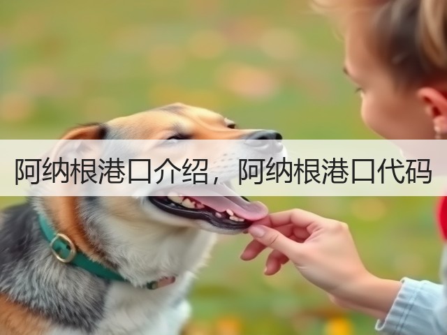 阿纳根港口介绍,阿纳根港口代码(图1) 阿纳根港口介绍,阿纳根港口代码(图1)