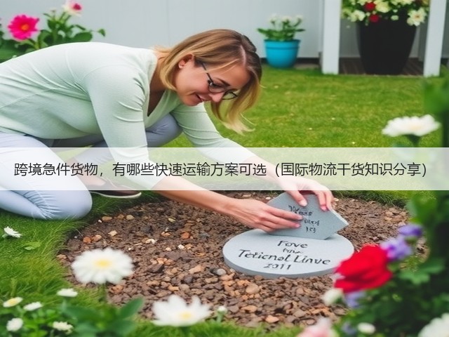 跨境急件货物,有哪些快速运输方案可选(国际物流干货知识分享)(图3) 跨境急件货物,有哪些快速运输方案可选(国际物流干货知识分享)(图3)