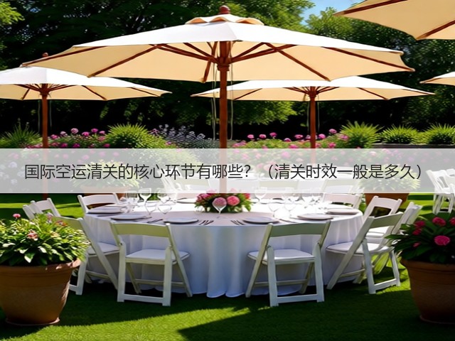 国际空运清关的核心环节有哪些？（清关时效一般是多久）(图3)