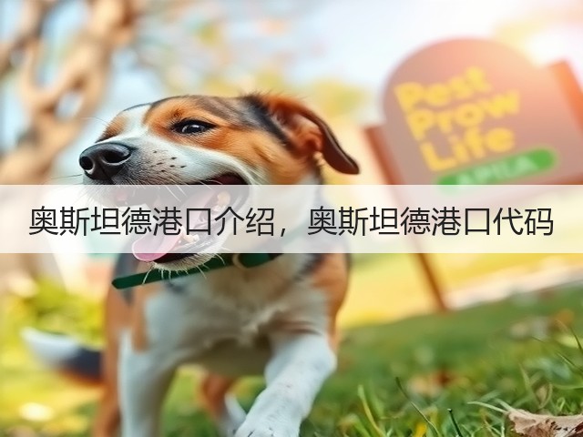 奥斯坦德港口介绍,奥斯坦德港口代码(图2) 奥斯坦德港口介绍,奥斯坦德港口代码(图2)