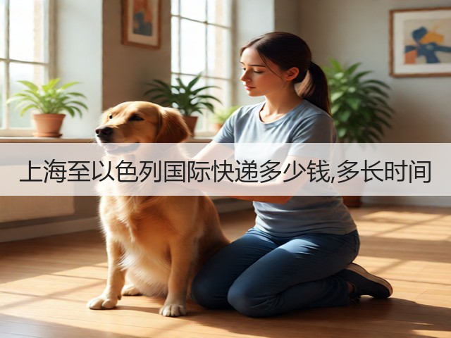 上海至以色列国际快递多少钱,多长时间(图3)