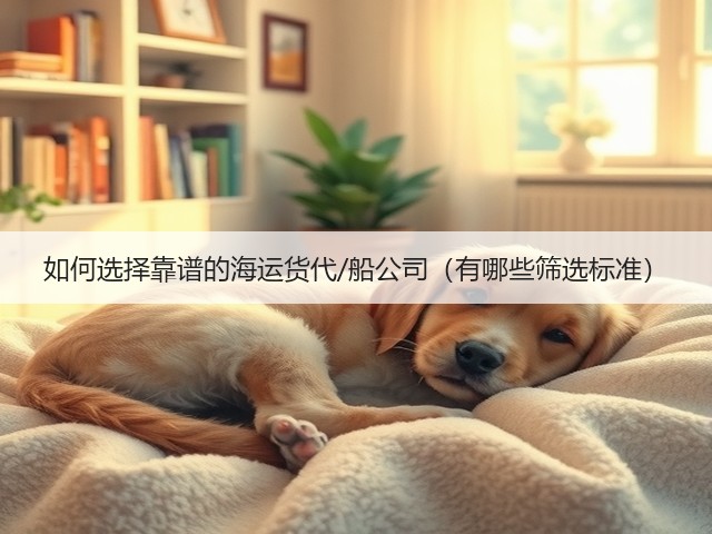 如何选择靠谱的海运货代/船公司(有哪些筛选标准)(图3) 如何选择靠谱的海运货代/船公司(有哪些筛选标准)(图3)