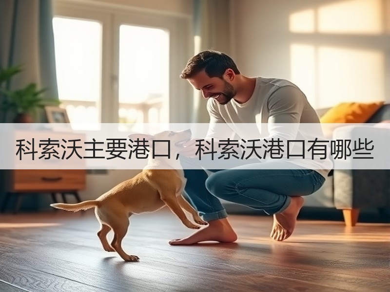 科索沃主要港口，科索沃港口有哪些