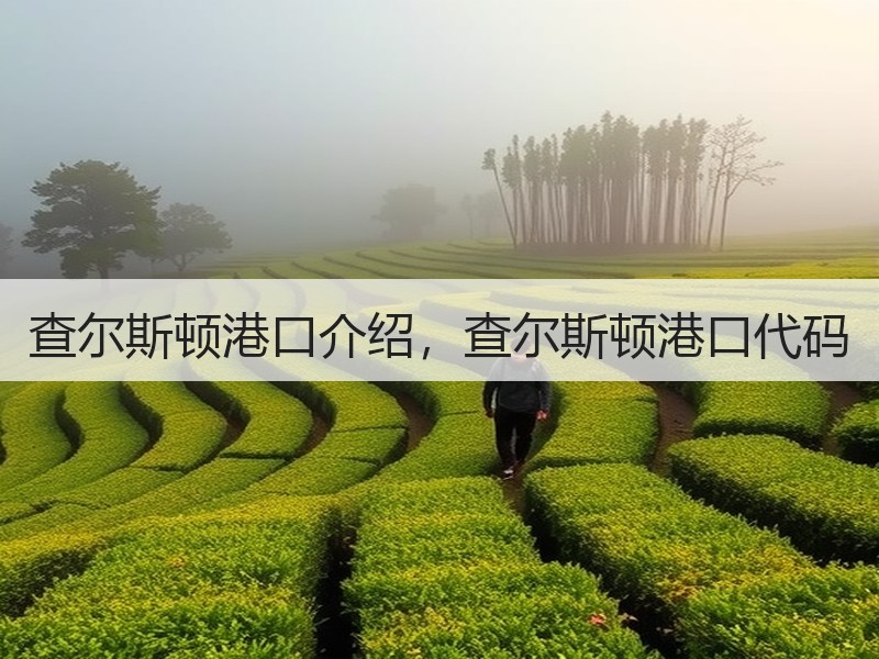 查尔斯顿港口介绍,查尔斯顿港口代码 查尔斯顿港口介绍,查尔斯顿港口代码