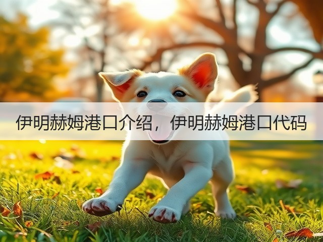 伊明赫姆港口介绍，伊明赫姆港口代码(图3)