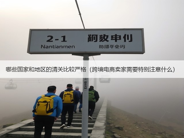 哪些国家和地区的清关比较严格(跨境电商卖家需要特别注意什么)(图2) 哪些国家和地区的清关比较严格(跨境电商卖家需要特别注意什么)(图2)
