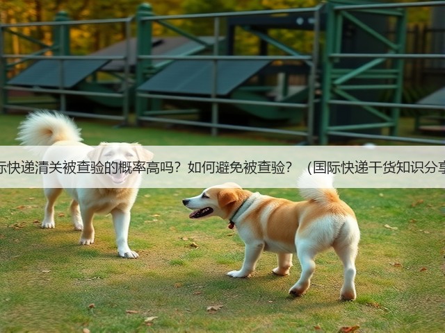 国际快递清关被查验的概率高吗？如何避免被查验？（国际快递干货知识分享）(图1)