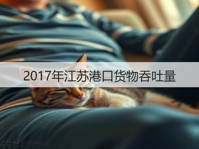 2017年江苏港口货物吞吐量(图2) 2017年江苏港口货物吞吐量(图2)