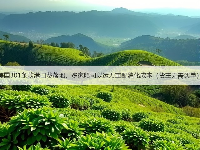 美国301条款港口费落地，多家船司以运力重配消化成本（货主无需买单）(图3)