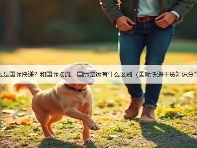 什么是国际快递?和国际物流、国际空运有什么区别(国际快递干货知识分享)(图2) 什么是国际快递?和国际物流、国际空运有什么区别(国际快递干货知识分享)(图2)